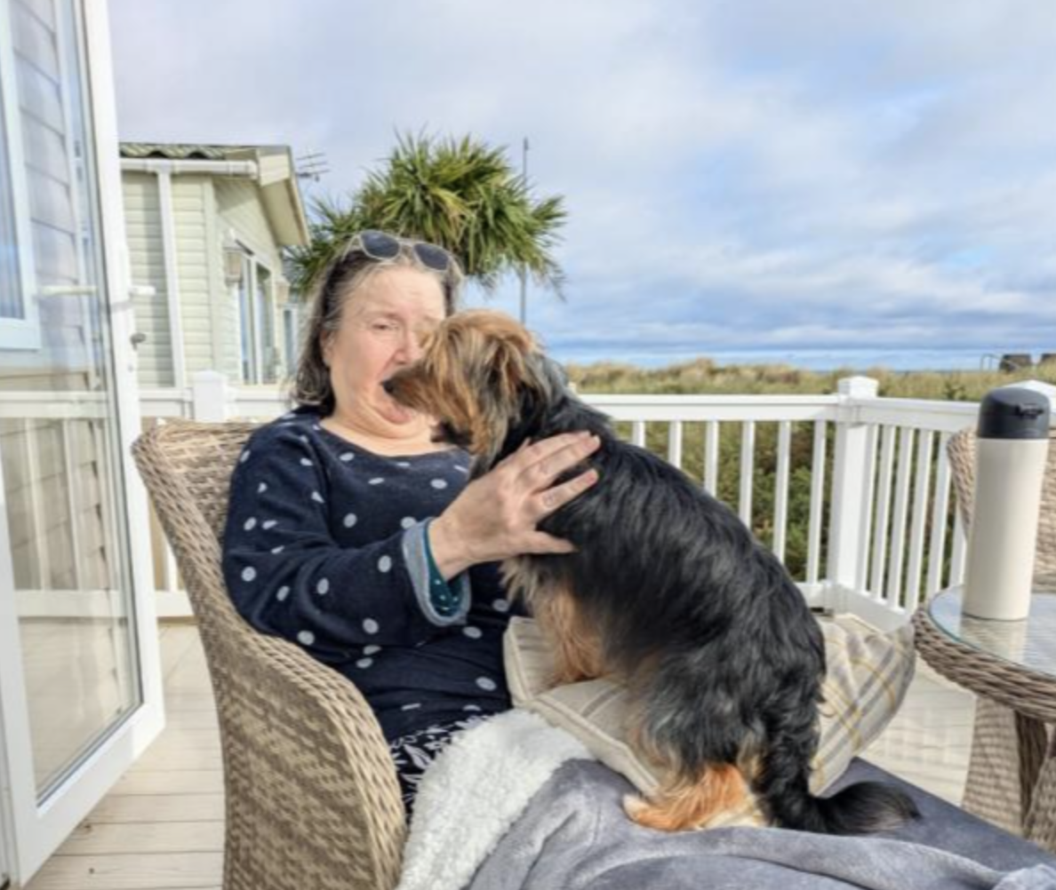 Pippin Still Not Reunited With Heartbroken Owners